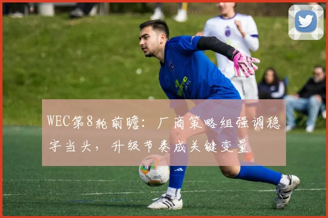 WEC第8轮前瞻：厂商策略组强调稳字当头，升级节奏成关键变量